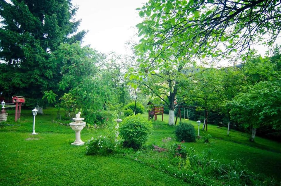 Natural landscape