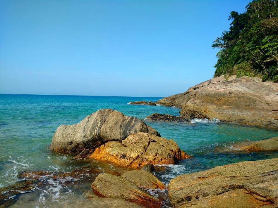Natural landscape