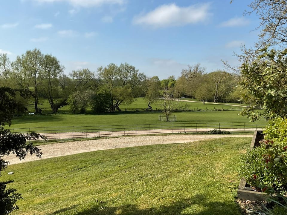 Spring, Day, Natural landscape, Garden, Animals, Garden view