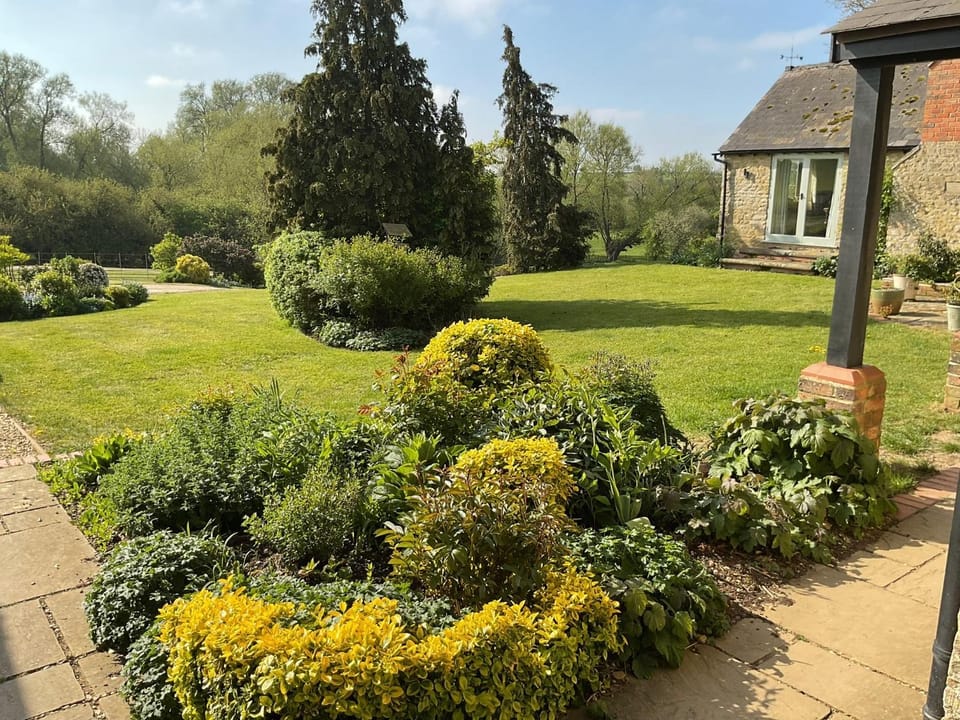 Spring, Day, Natural landscape, Garden, Garden view