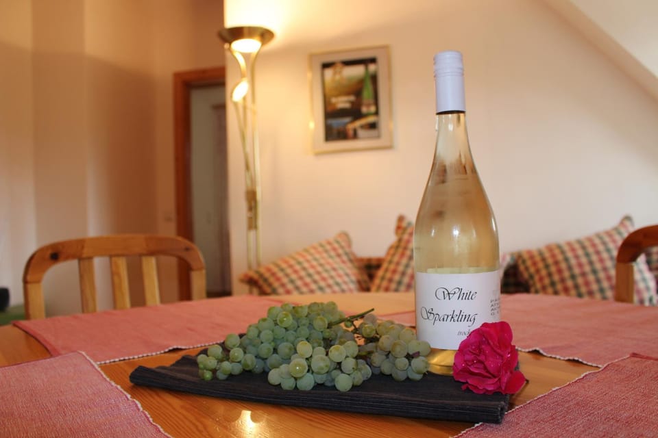 Prabatsch-Aichinger Winzergut Apartment in Austria