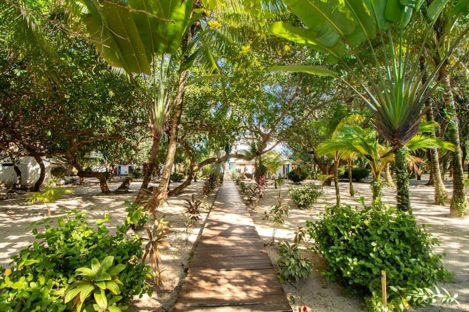 Condo #24 @ Beachside Villas House in Stann Creek District