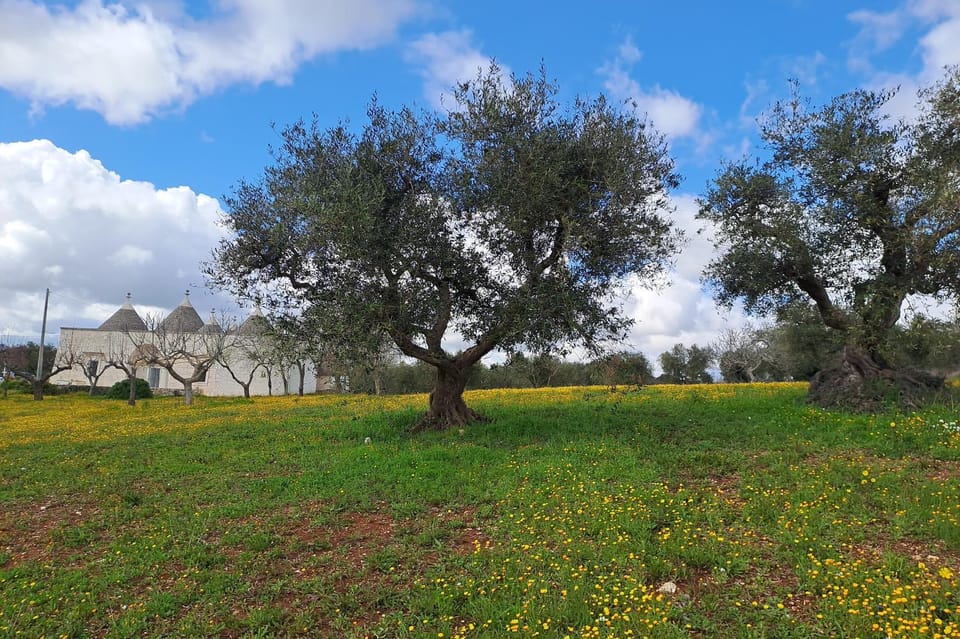 Spring, Natural landscape, Garden view