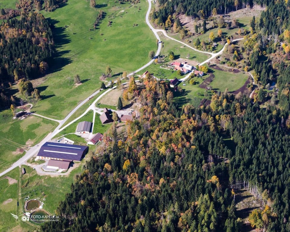 Neighbourhood, Bird's eye view