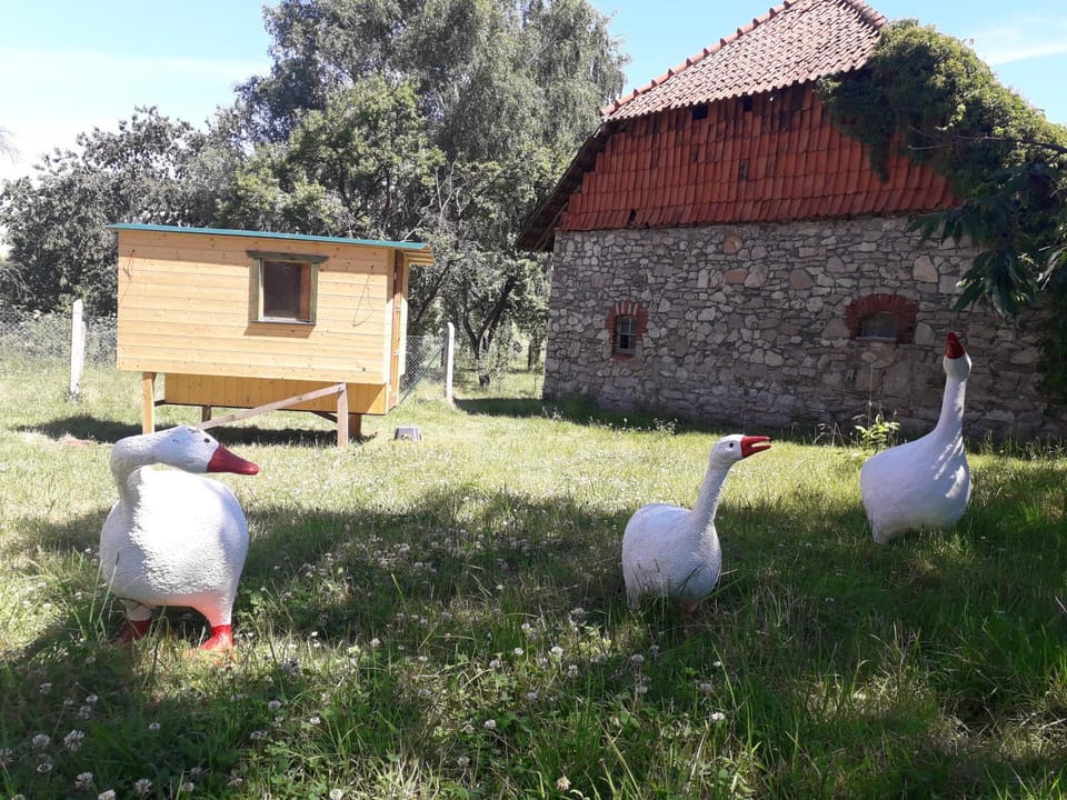 Pension Hoffmann Bed and Breakfast in Thuringia, Germany