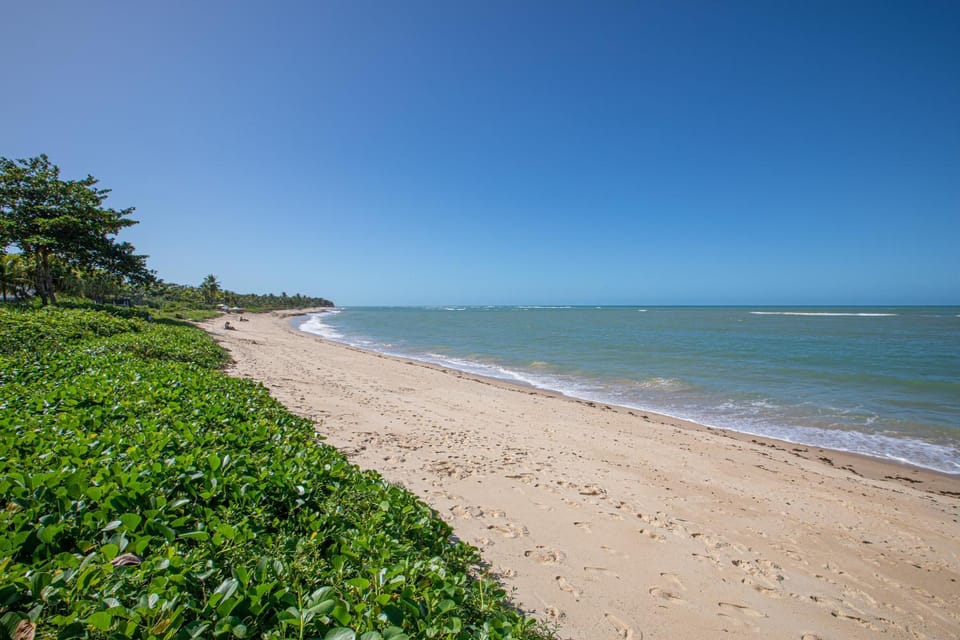Day, Beach