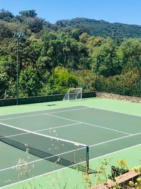 Tennis court