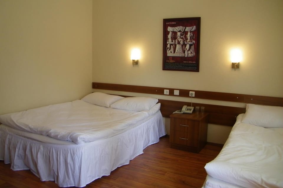 Hotel Aşıkoğlu Hotel in Turkey