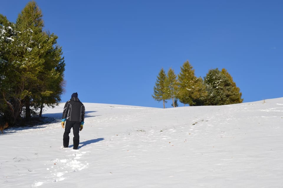 Agritur Scoiattolo Farm Stay in Trentino-South Tyrol