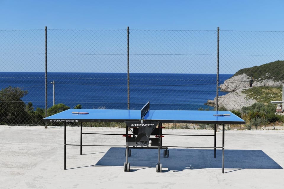Table tennis, Sports