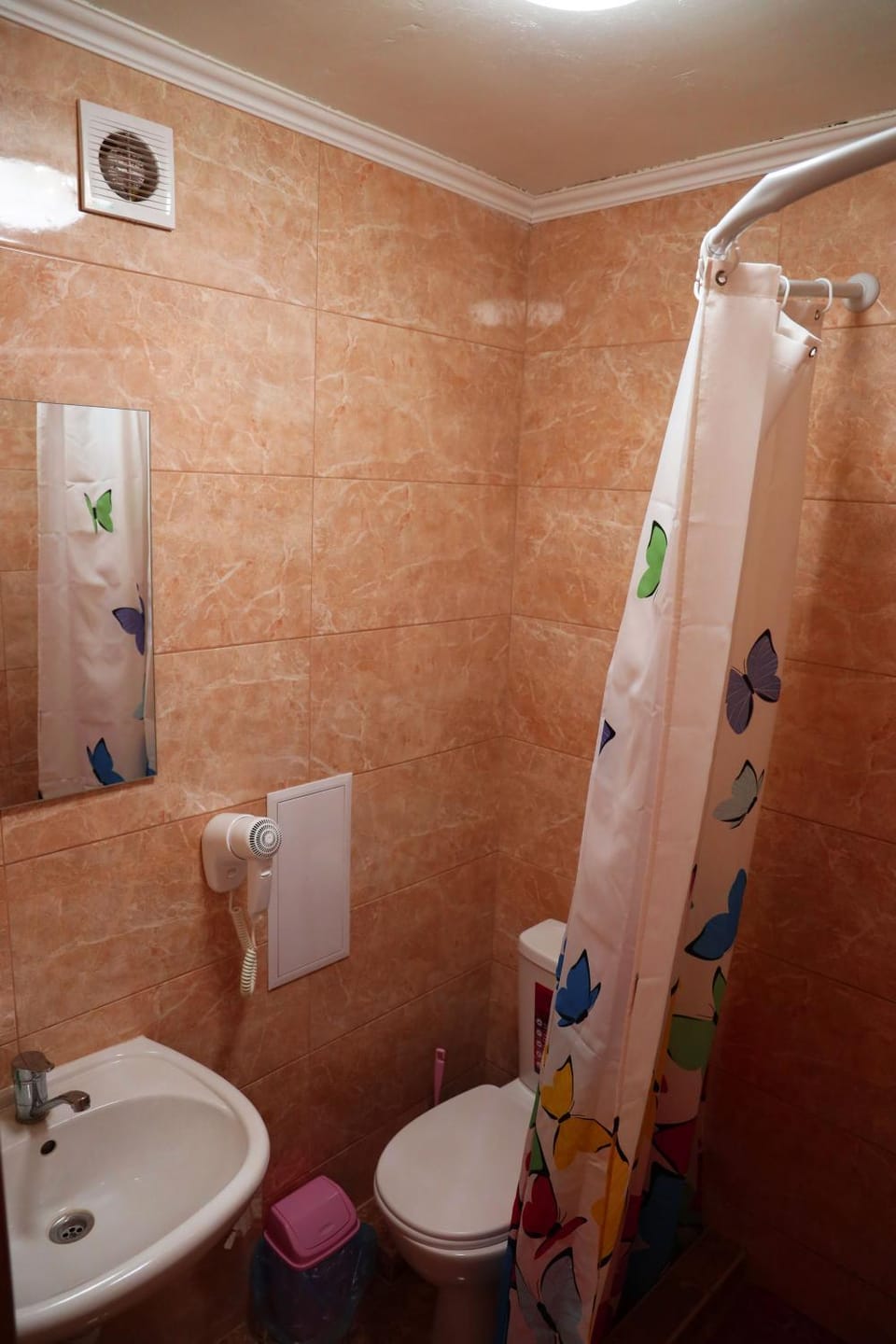 Shower, Toilet