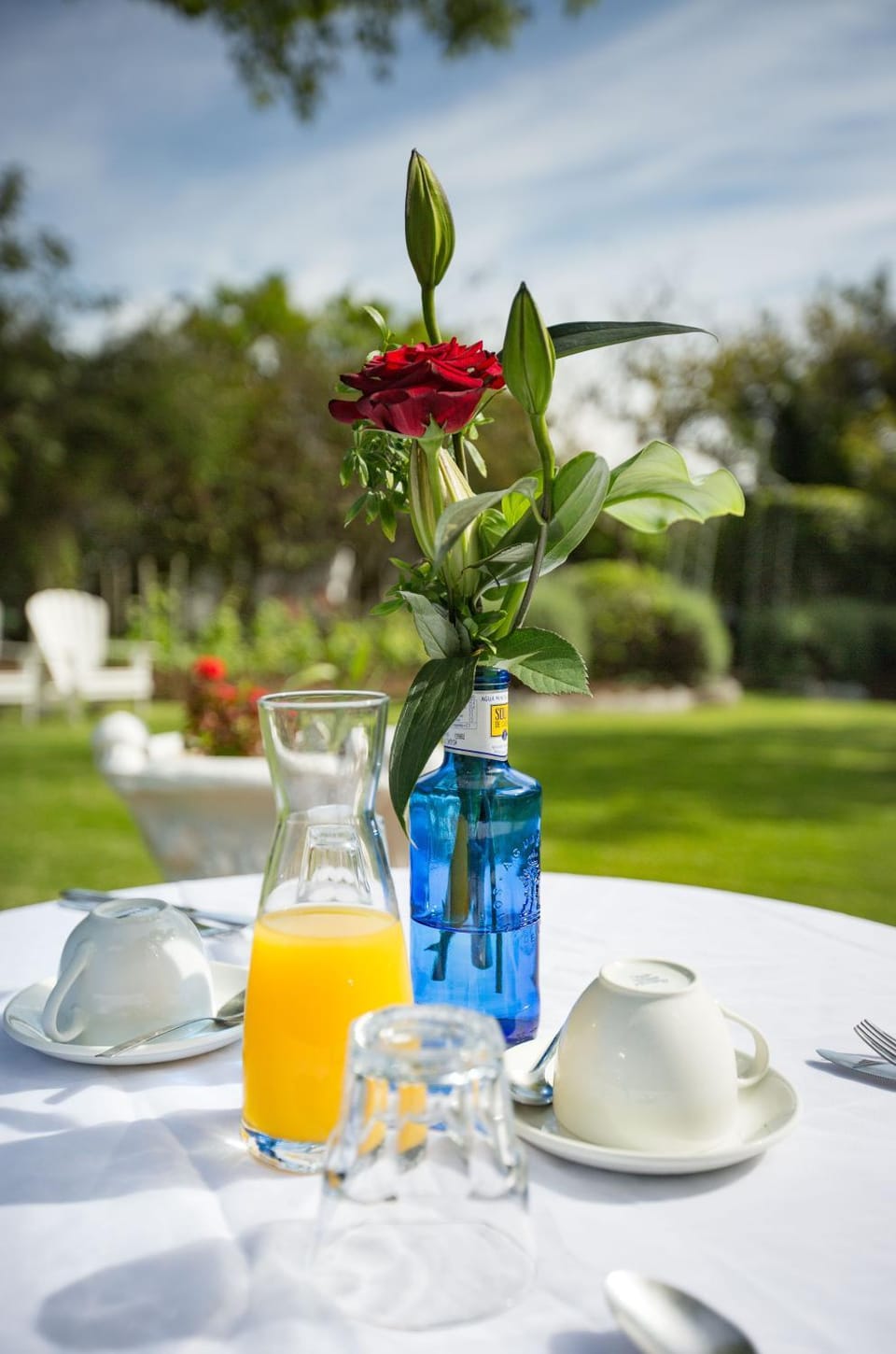 Continental breakfast