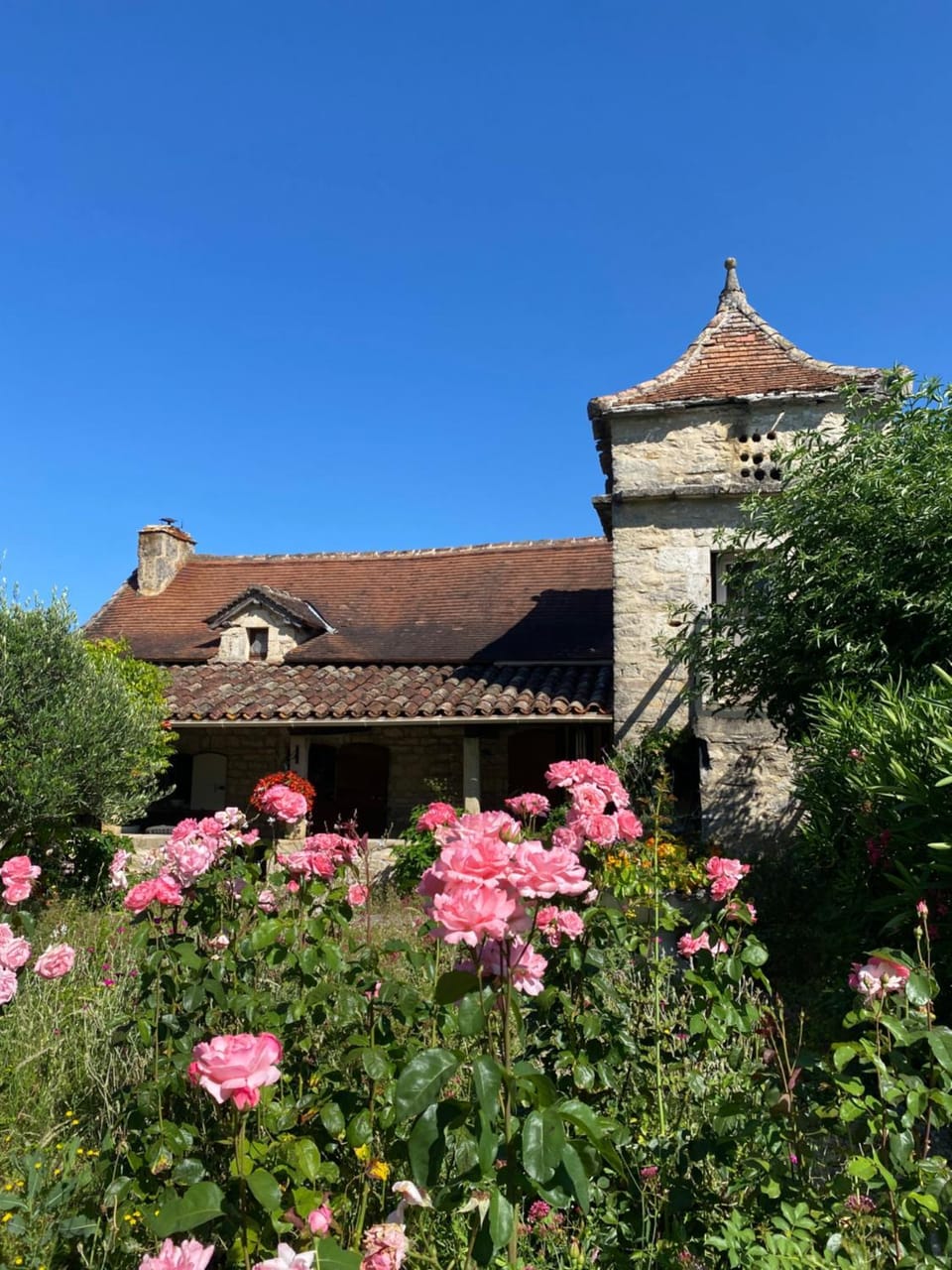 Property building, Spring, Garden