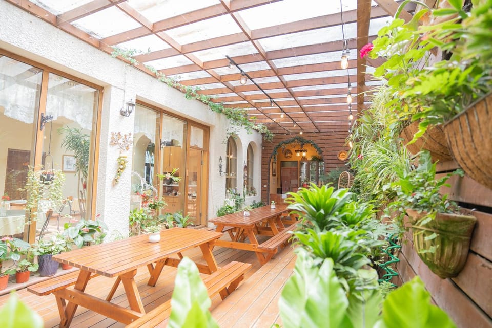 Day, Garden, Garden view