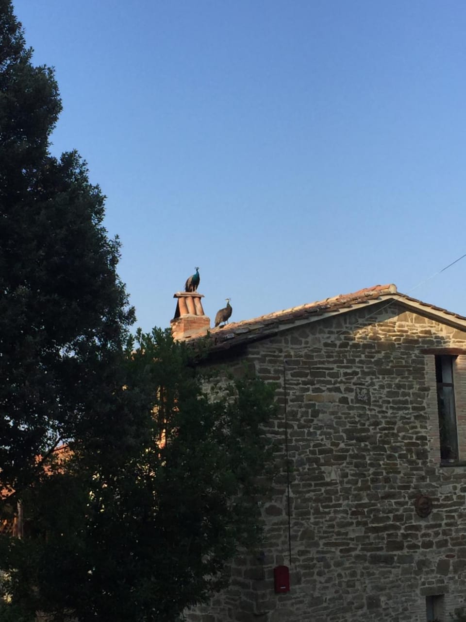 Fattoria Didattica Gli Allori House in Umbria