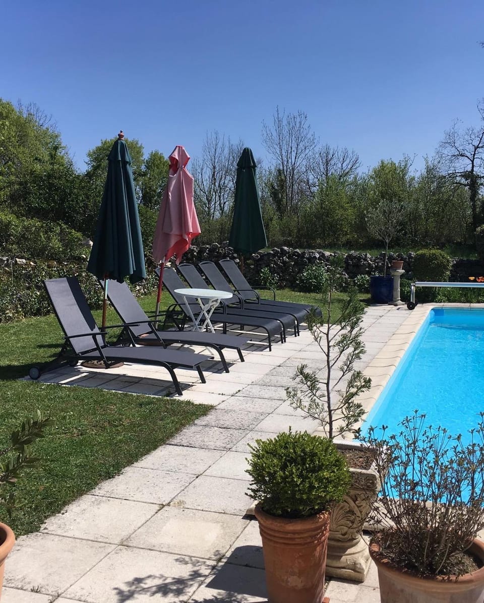 Garden, Pool view, Swimming pool