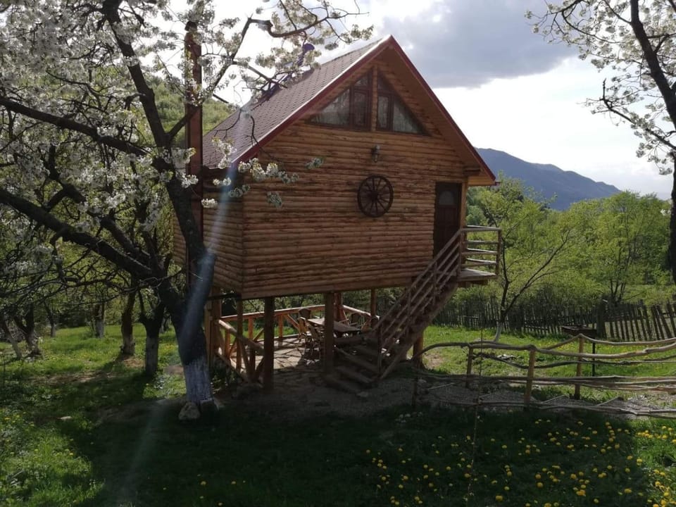 Casuta din Poiana Chalet in Romania