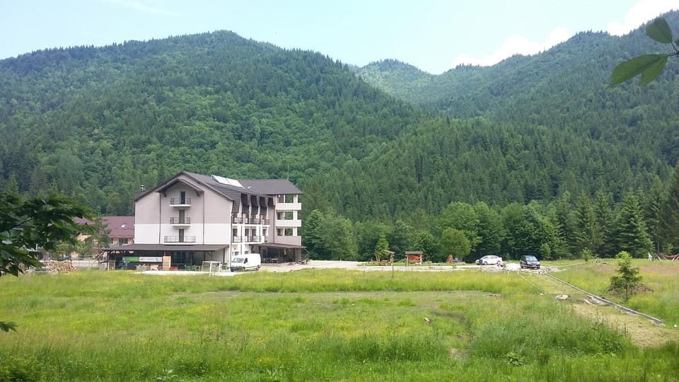 Pensiunea Poiana Soarelui Bed and Breakfast in Romania
