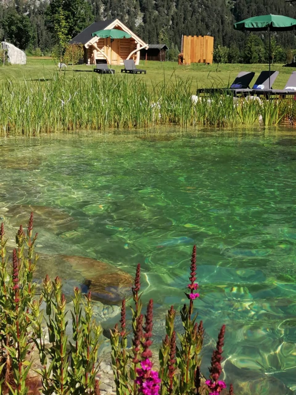 Natural landscape, Summer, Garden, Sauna