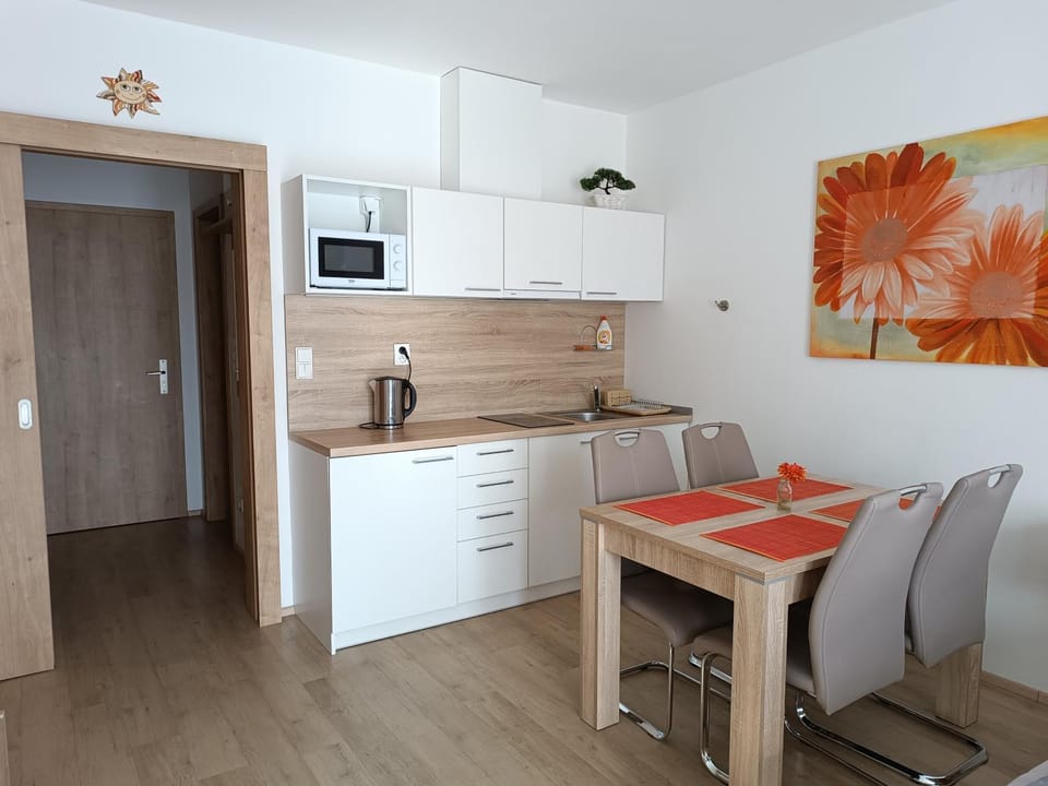 Apartmán U Sjezdovky Apartment in Lower Silesian Voivodeship