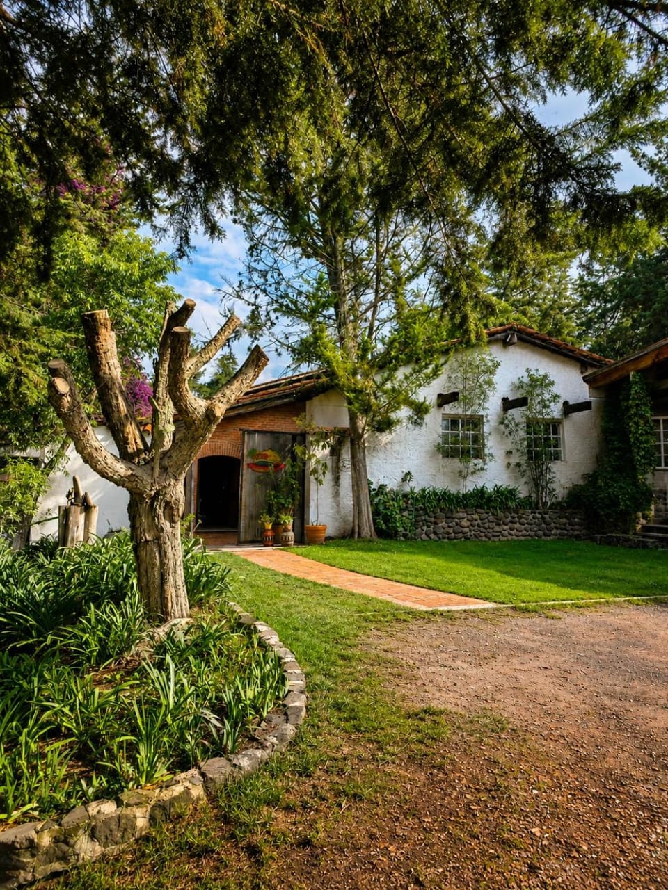 Property building, Garden