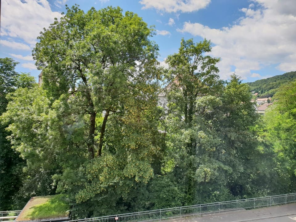 Waldshut-Zentrum Apartment in Baden-Württemberg