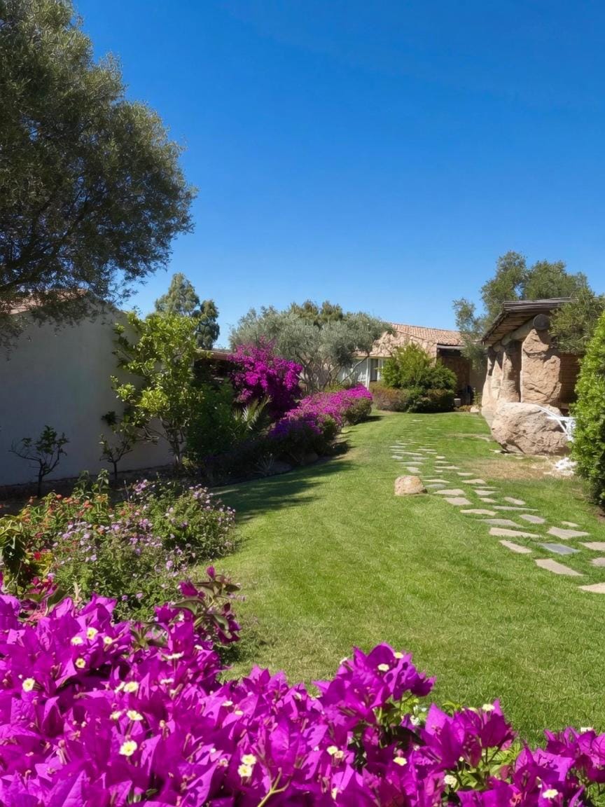 Pedra Smeralda Apartment in Sardinia
