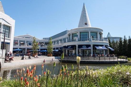 Shopping Area
