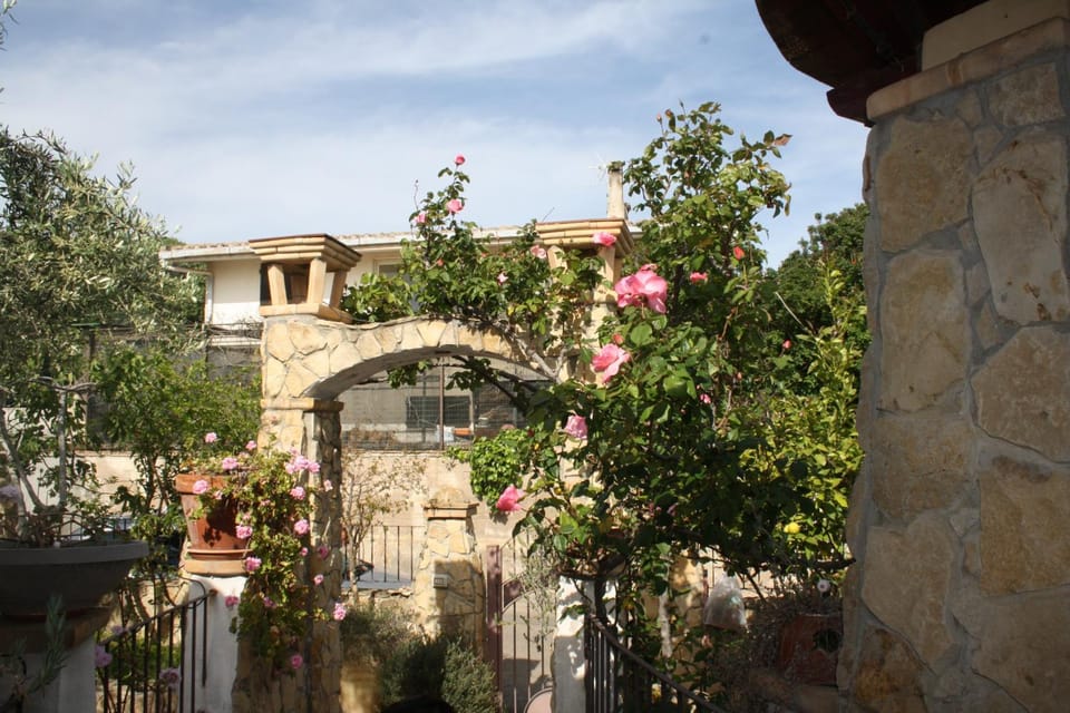 Property building, Garden view