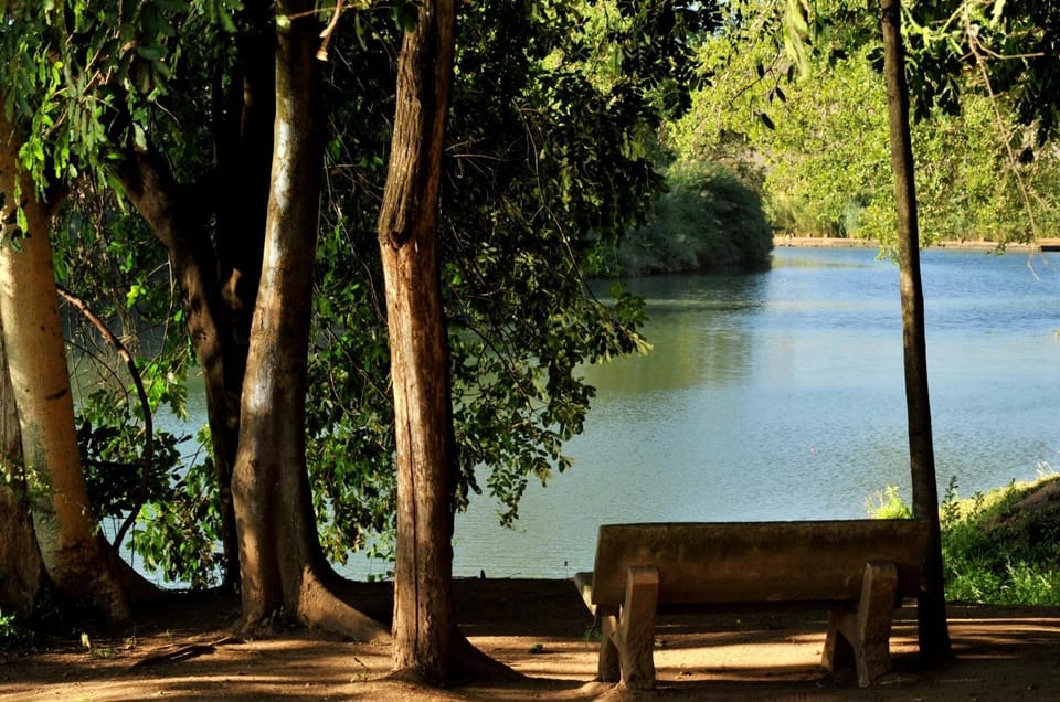 Fishing, Garden, View (from property/room), Decorative detail, On site, Area and facilities