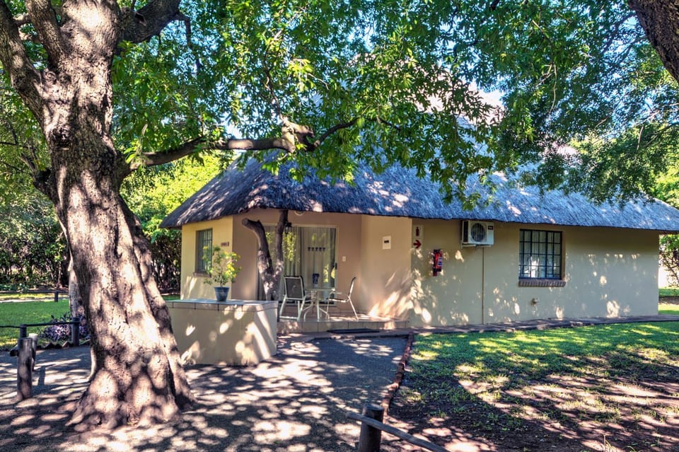 Property building, Garden, Garden view