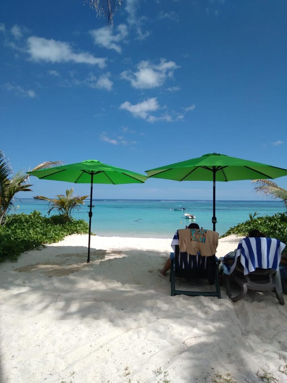 Beach, sunbed