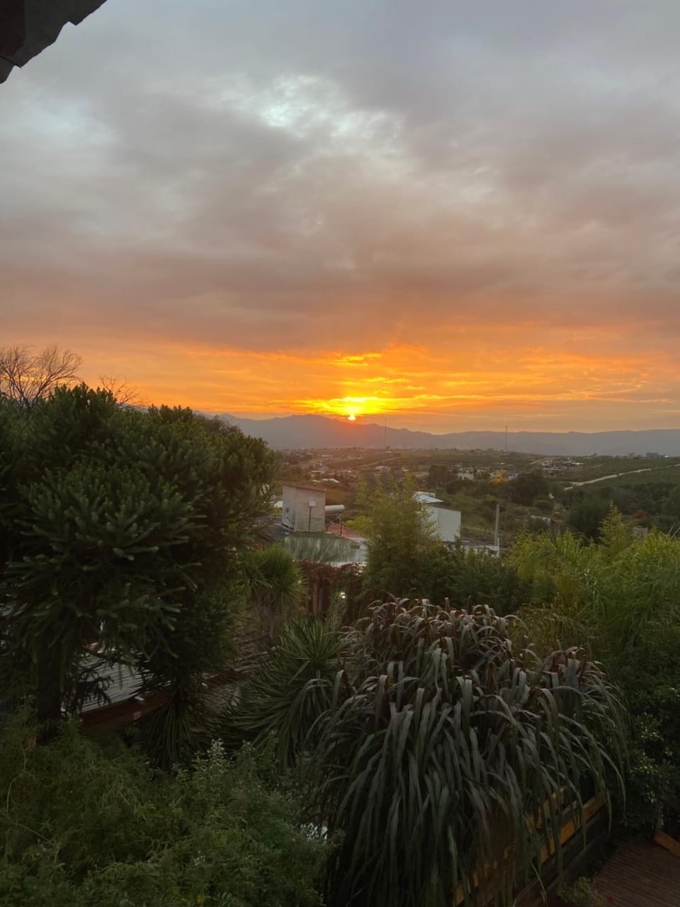 Garden view
