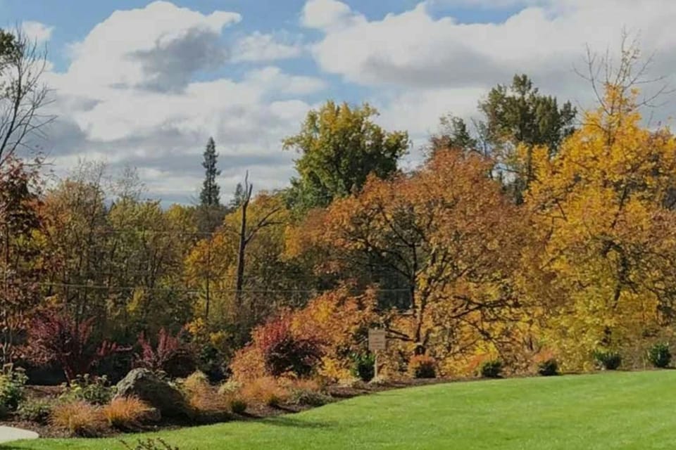 View (from property/room)