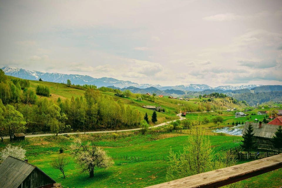 Mountain view