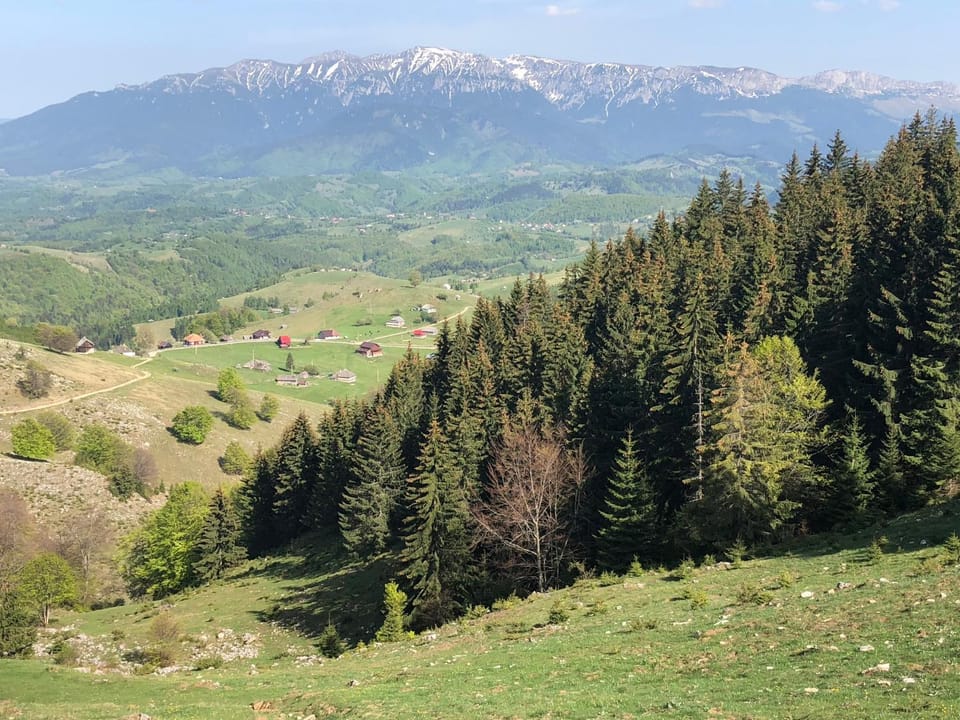 Natural landscape
