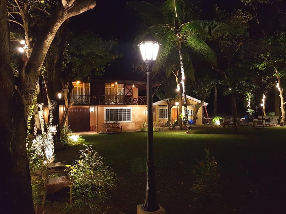 Patio, Garden
