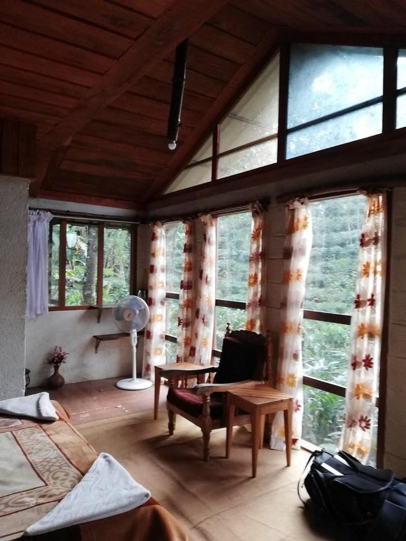 Jungle Tree House Munnar Farm Stay in Kerala
