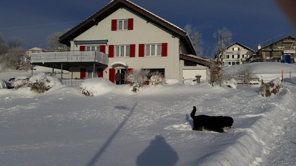 Property building, Winter