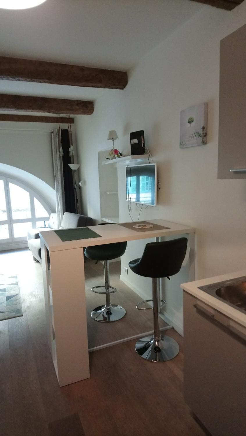 Sam Le Lezard Sarl Apartment in Nice