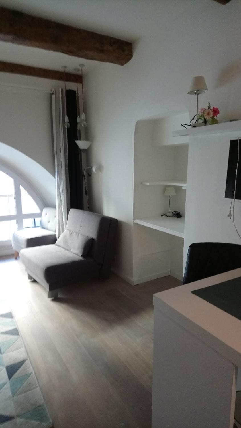 Sam Le Lezard Sarl Apartment in Nice