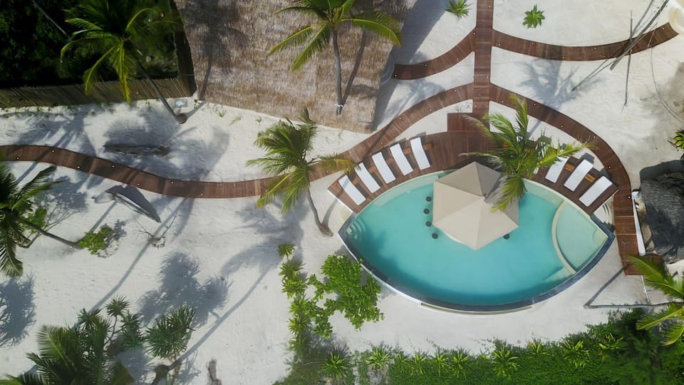 Day, Bird's eye view, Swimming pool