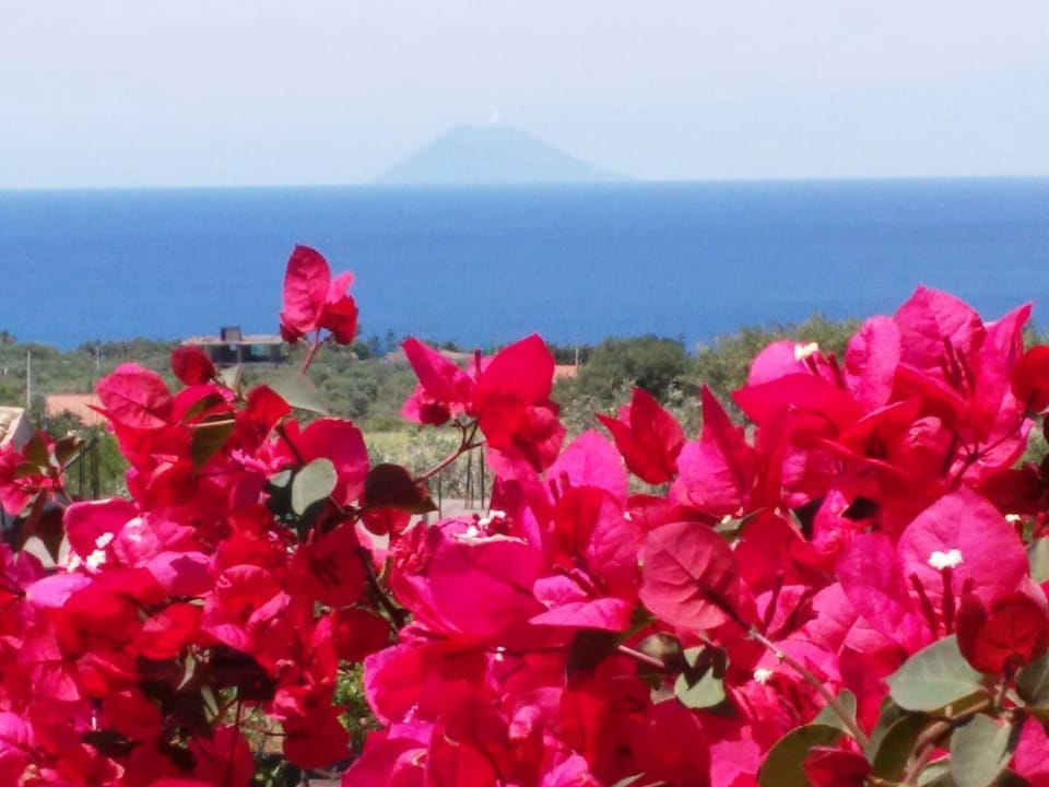 Villa Macria House in Calabria