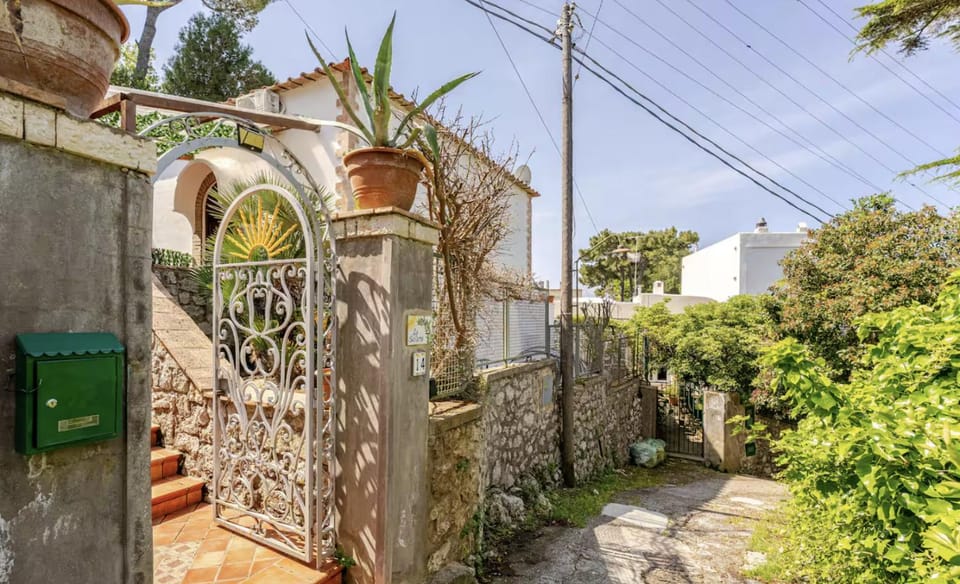 Property building, Spring, Day, Garden, Garden view, Landmark view