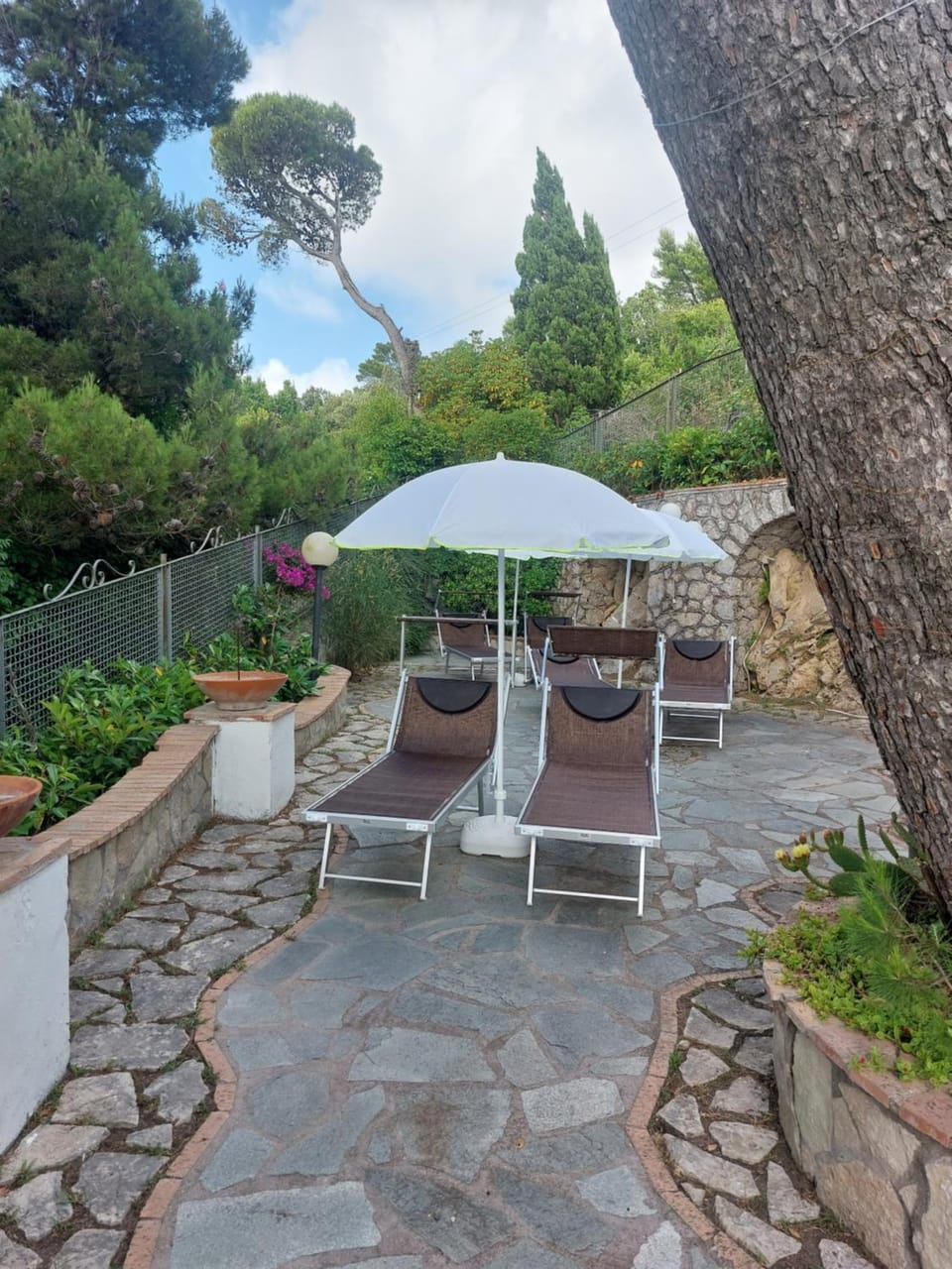 Patio, Spring, Day, Garden, Garden view, Pool view, Swimming pool, sunbed