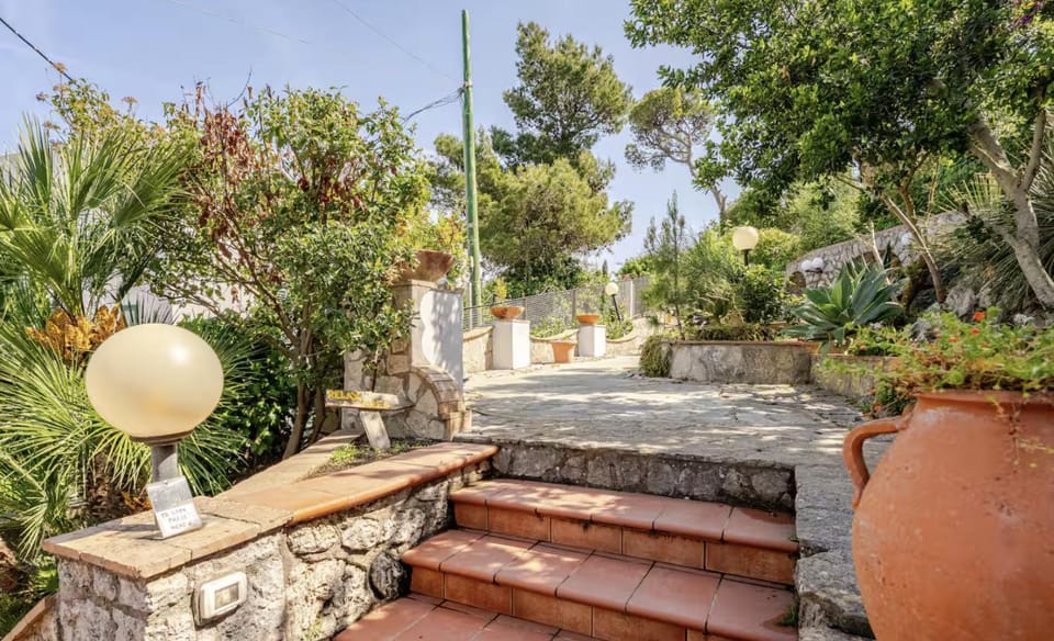 Spring, Day, Garden, Garden view