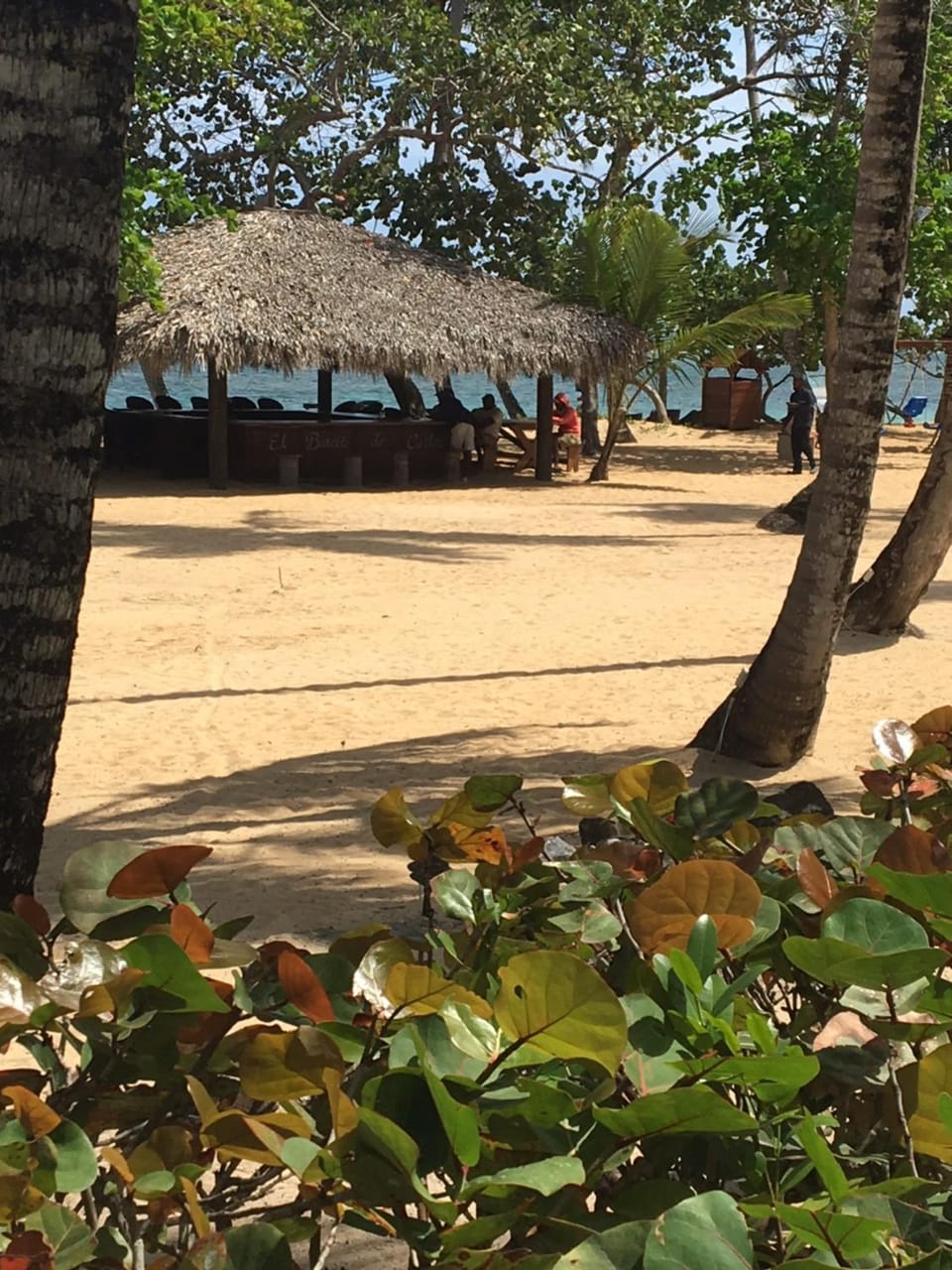 Beach
