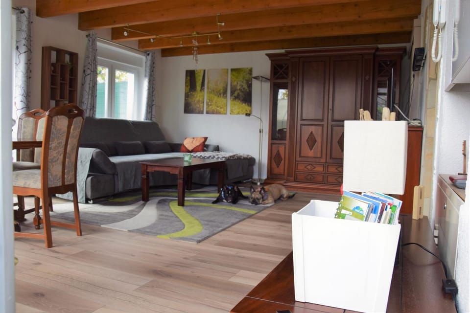 Ferienwohnung Thüringer Wald House in Thuringia, Germany