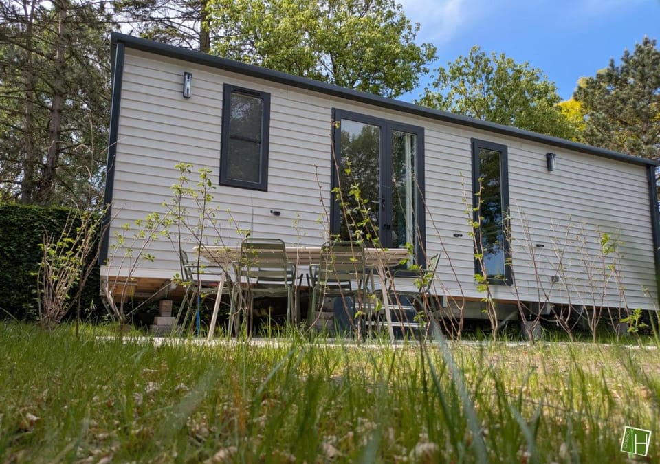 Property building, Patio, Spring, Day, Summer, Garden, View (from property/room), Garden view