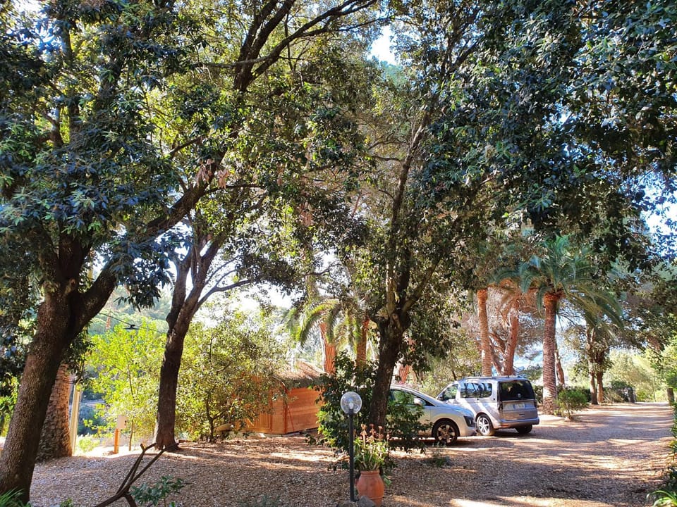 Day, Natural landscape, Garden, Garden view, Parking